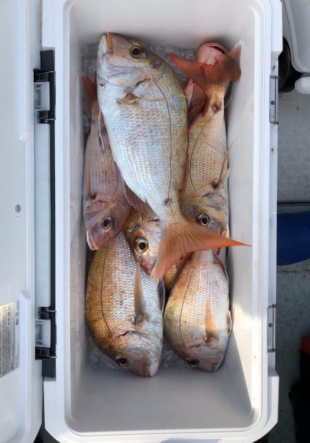 フィッシング キッタカ 釣果