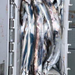 フィッシング キッタカ 釣果