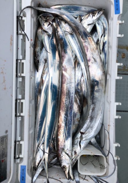 フィッシング キッタカ 釣果