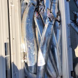 フィッシング キッタカ 釣果