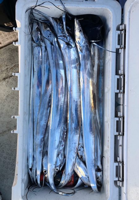 フィッシング キッタカ 釣果