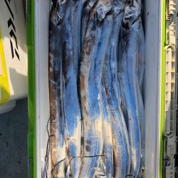 フィッシング キッタカ 釣果