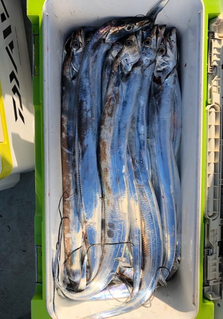 フィッシング キッタカ 釣果