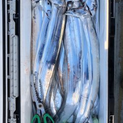 フィッシング キッタカ 釣果