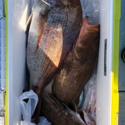 フィッシング キッタカ 釣果