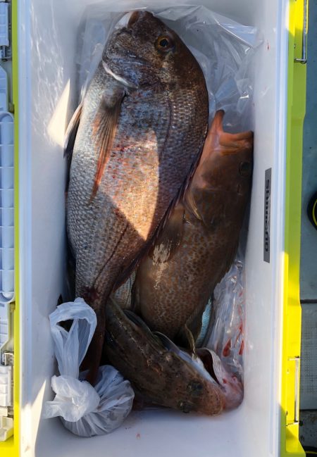 フィッシング キッタカ 釣果