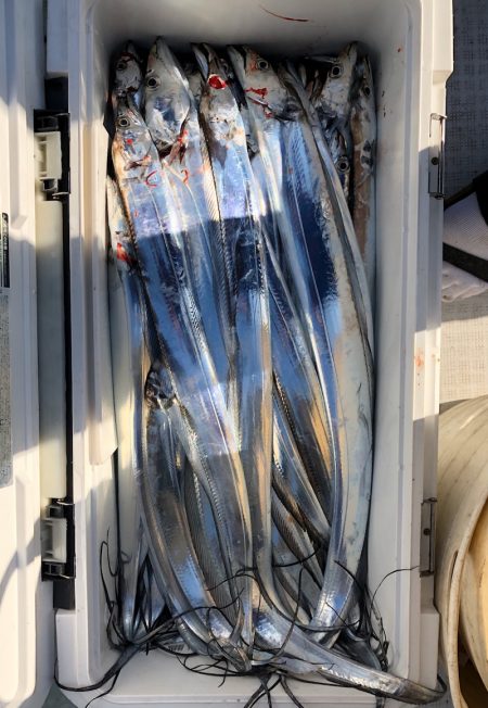 フィッシング キッタカ 釣果