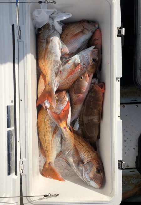 フィッシング キッタカ 釣果