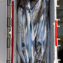 フィッシング キッタカ 釣果