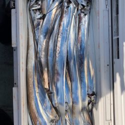 フィッシング キッタカ 釣果