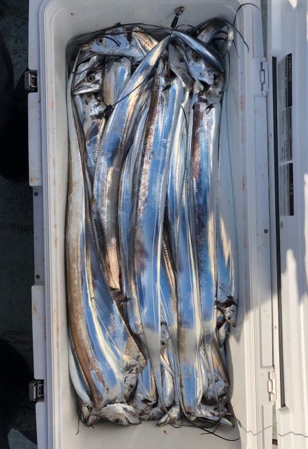 フィッシング キッタカ 釣果