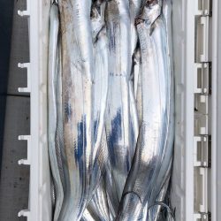 フィッシング キッタカ 釣果