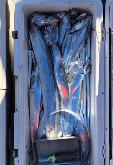 フィッシング キッタカ 釣果