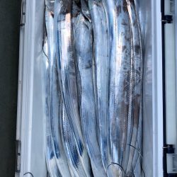 フィッシング キッタカ 釣果