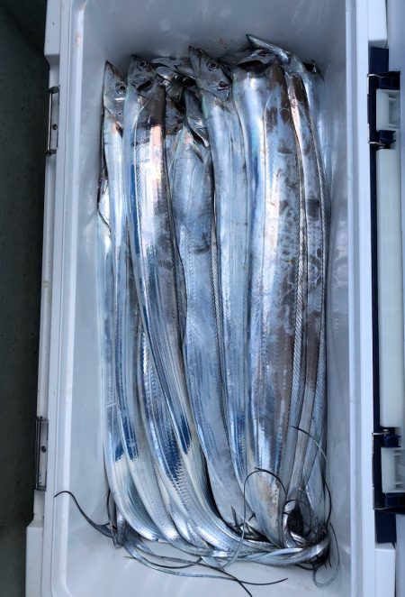 フィッシング　キッタカ 釣果