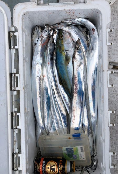 フィッシング キッタカ 釣果