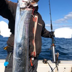 フィッシング　キッタカ 釣果