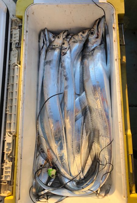 フィッシング　キッタカ 釣果