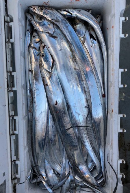 フィッシング キッタカ 釣果