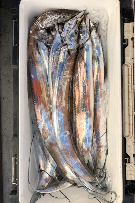 フィッシング キッタカ 釣果