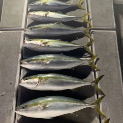 SeaRide(シーライド) 釣果