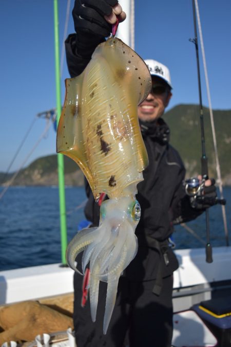 渡船屋たにぐち 釣果