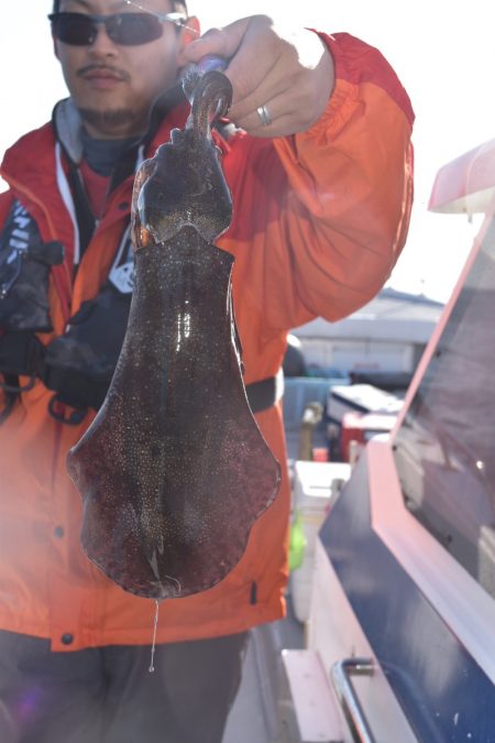 渡船屋たにぐち 釣果