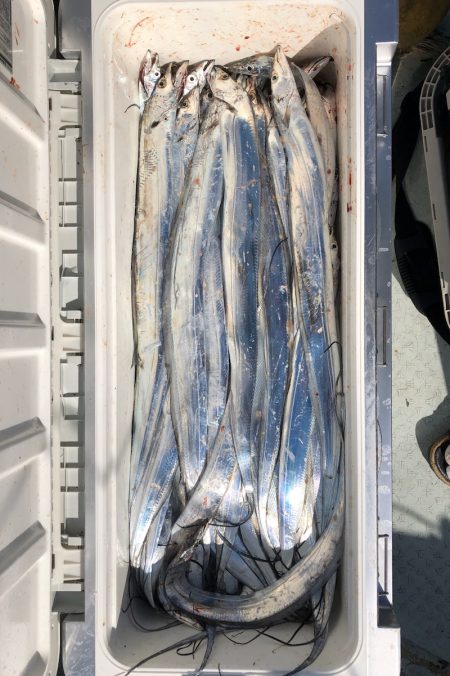 フィッシング　キッタカ 釣果