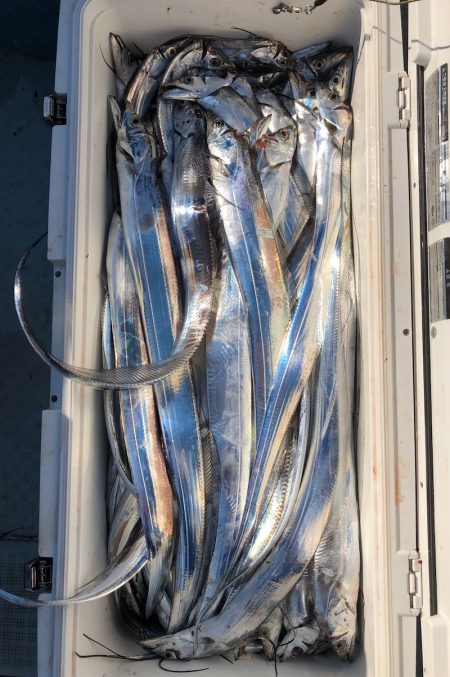 フィッシング キッタカ 釣果