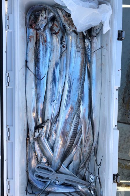 フィッシング キッタカ 釣果