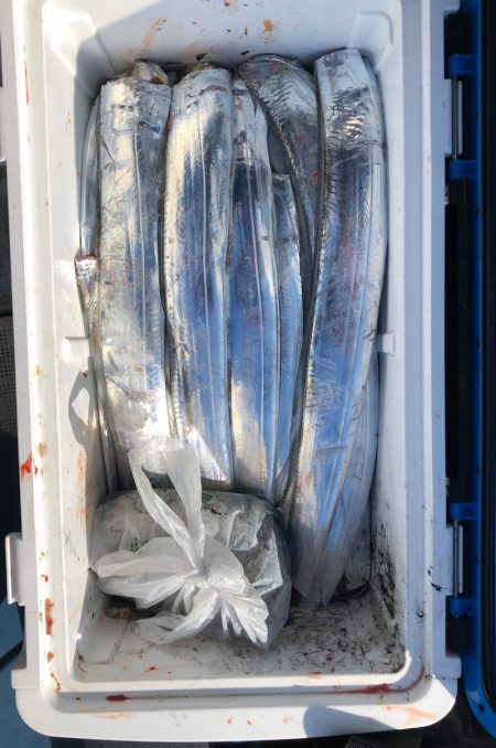 フィッシング キッタカ 釣果