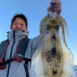 エヌスタイル 釣果