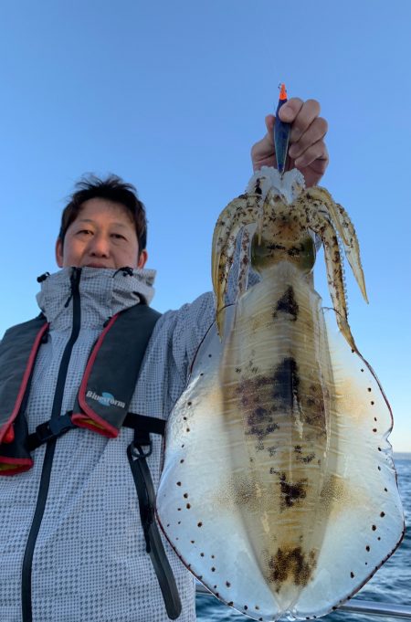 エヌスタイル 釣果