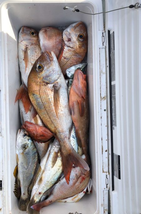 フィッシング キッタカ 釣果