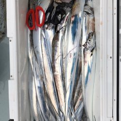 フィッシング キッタカ 釣果