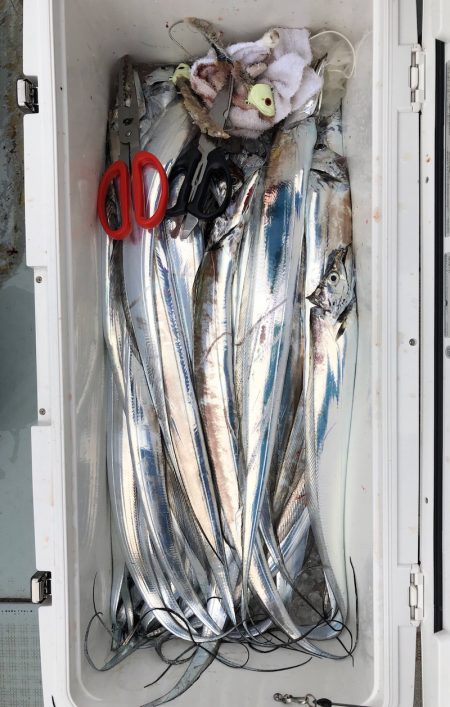 フィッシング　キッタカ 釣果