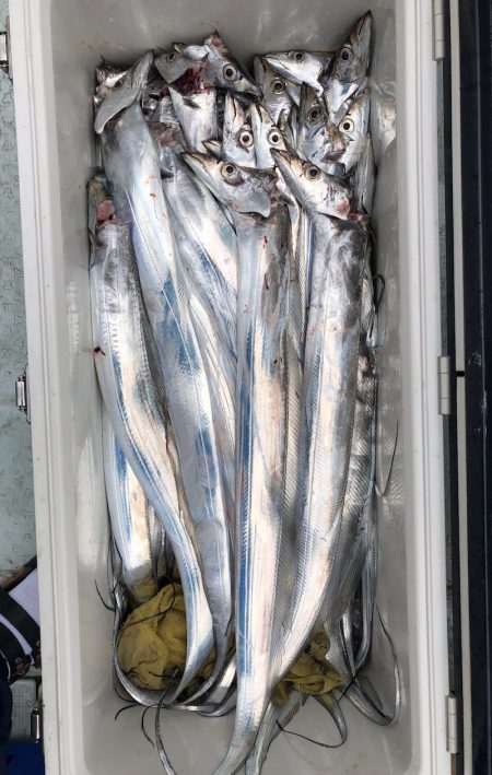 フィッシング キッタカ 釣果