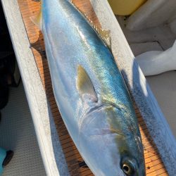 釣人家 釣果