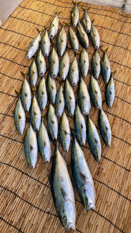 釣人家 釣果