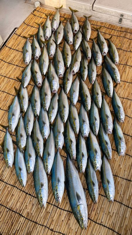 釣人家 釣果