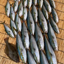 釣人家 釣果