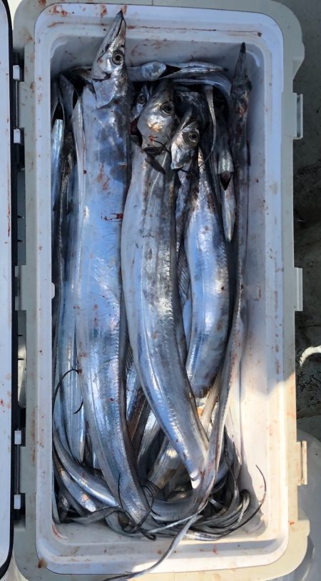 フィッシング キッタカ 釣果