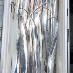 フィッシング キッタカ 釣果