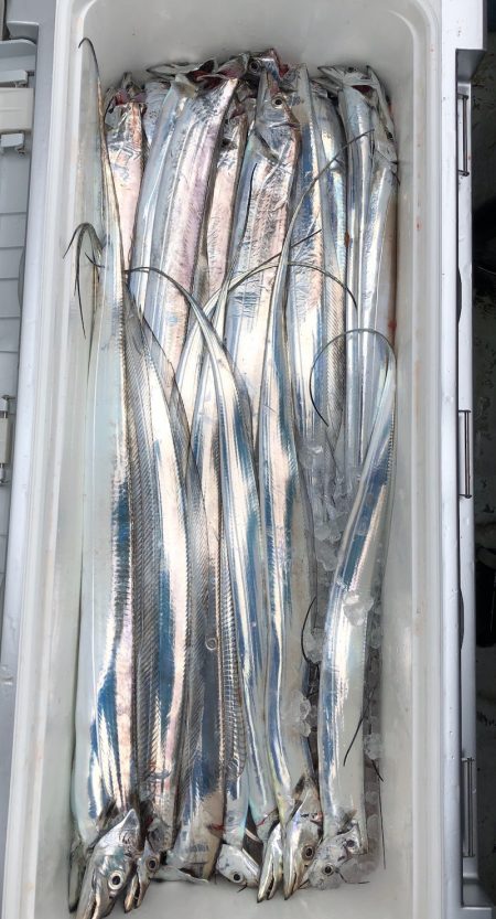 フィッシング キッタカ 釣果