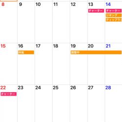 「LaGooN」蒼陽丸 日和号 釣果