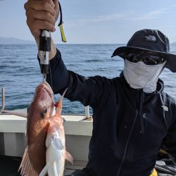 海季丸(みきまる) 釣果