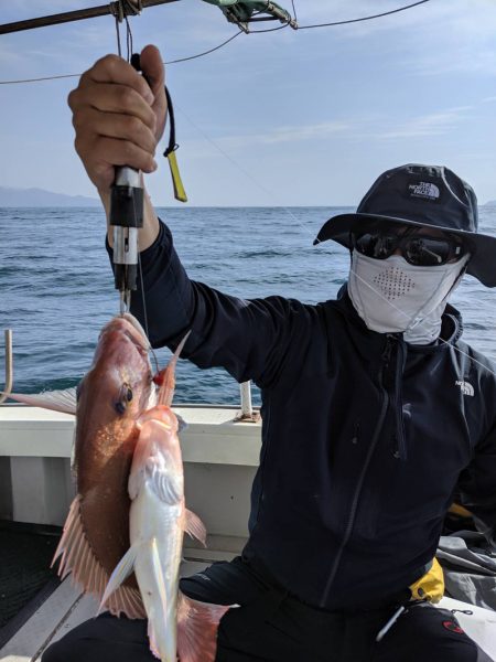 海季丸(みきまる) 釣果
