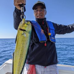 海季丸(みきまる) 釣果