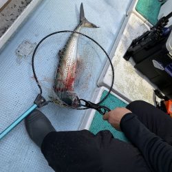 千尋丸 釣果
