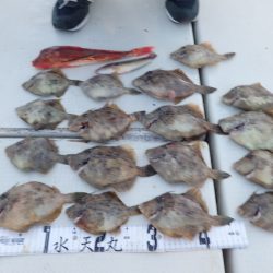水天丸 釣果